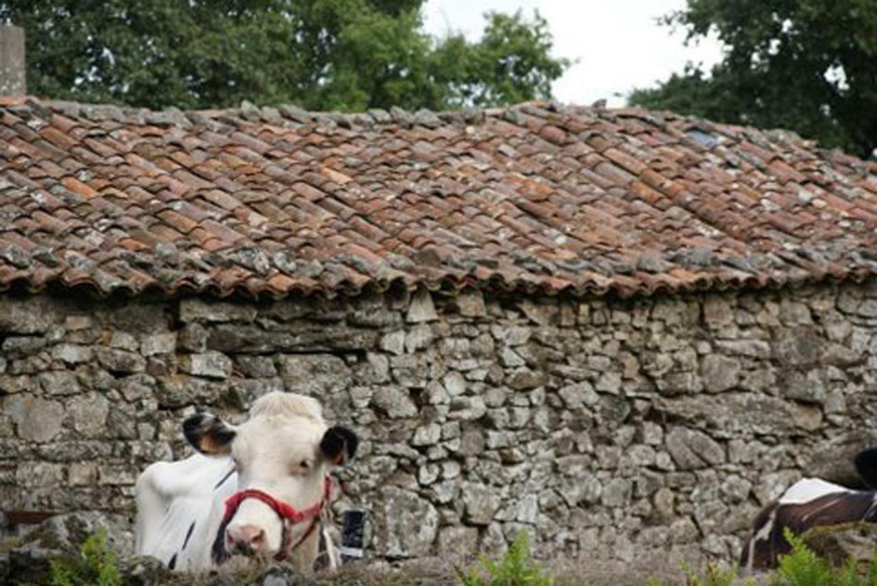 Stone Cottage Fisterra Curtis Eksteriør billede